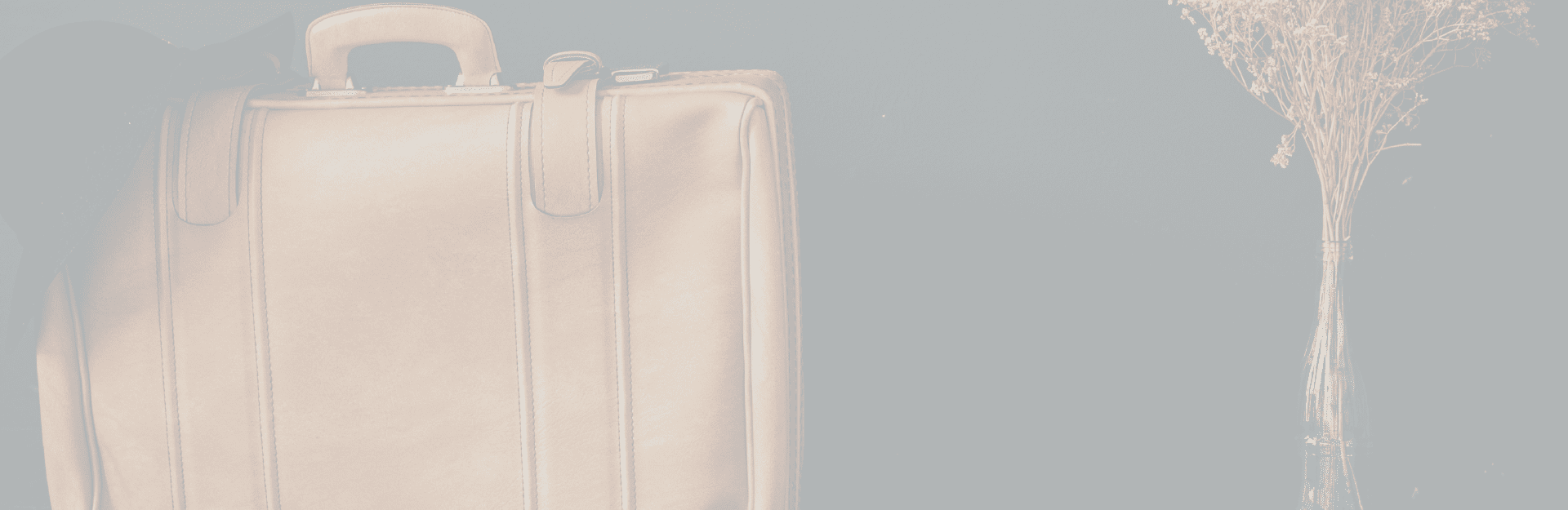 Laptop and Business bags